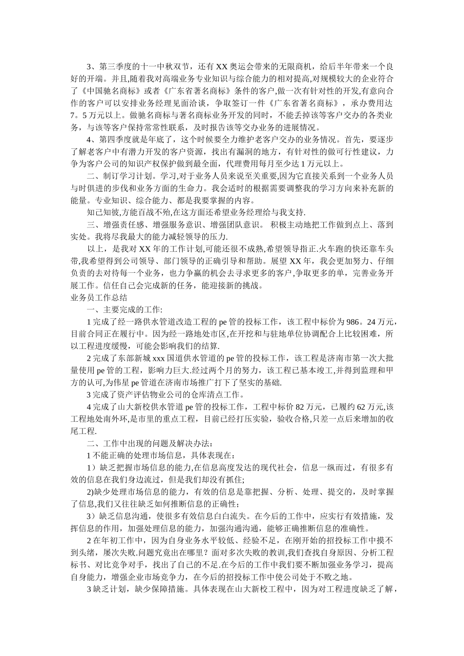 业务员工作总结范文_第2页