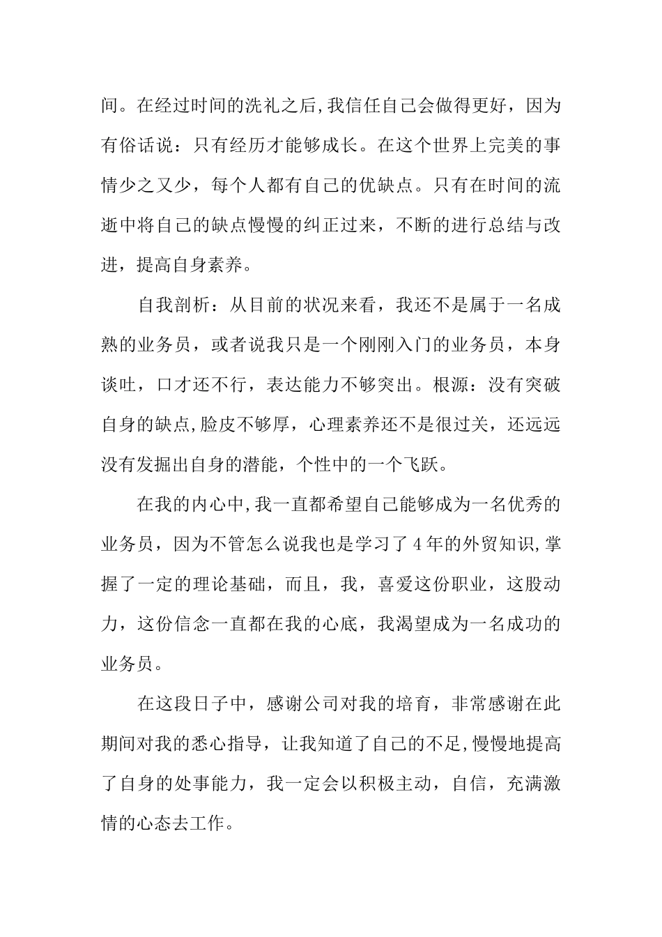 业务员年终工作总结范本_第2页