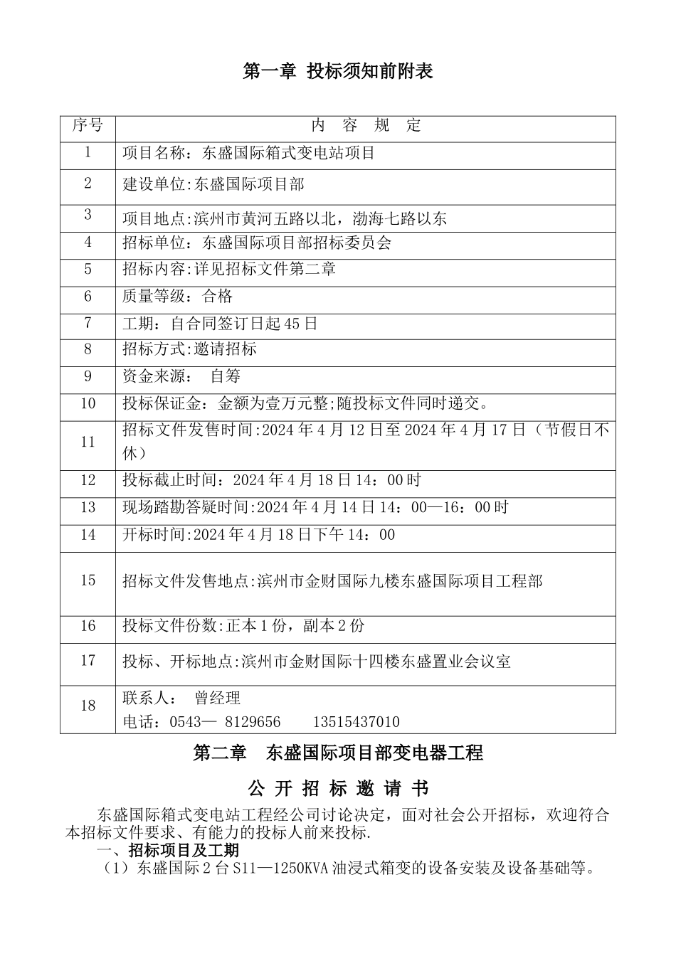 东盛国际箱变招标文件_第2页