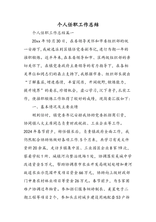 个人任职工作总结精选范文