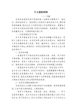 个人剖析材料--辛鑫