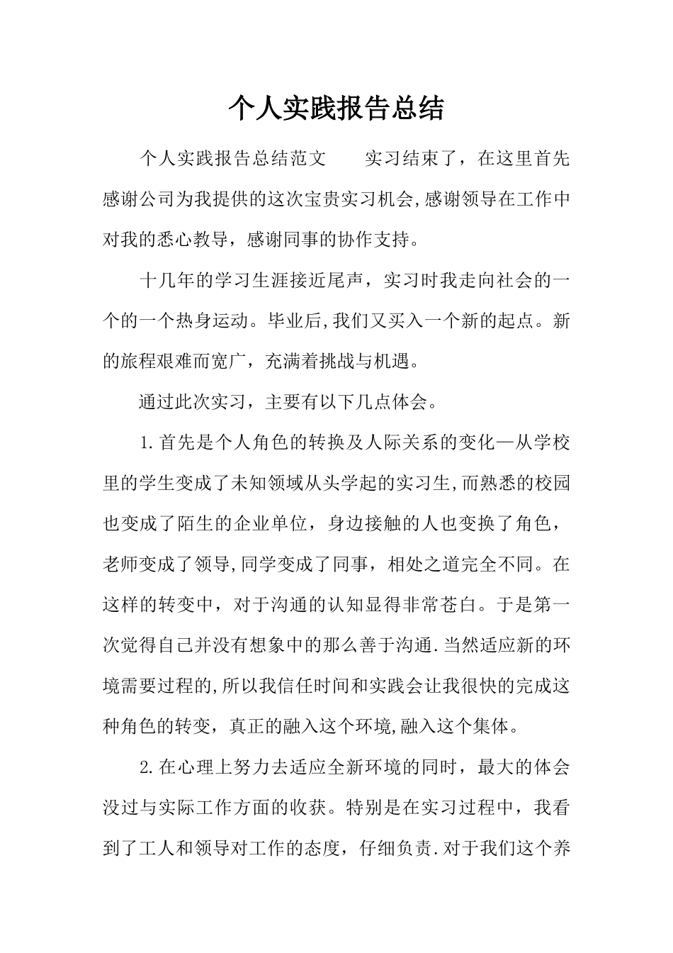 个人实践报告总结_第1页