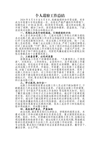 个人巡察工作总结