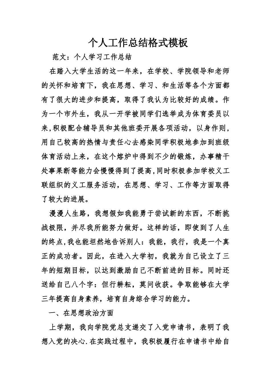 个人工作总结格式模板_第1页