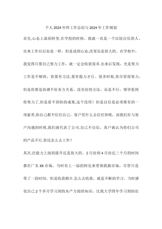 个人终工作总结与工作规划
