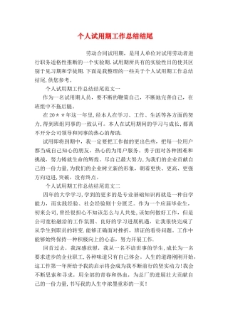 个人试用期工作总结结尾