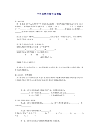 中外合资经营企业章程(规范版本)