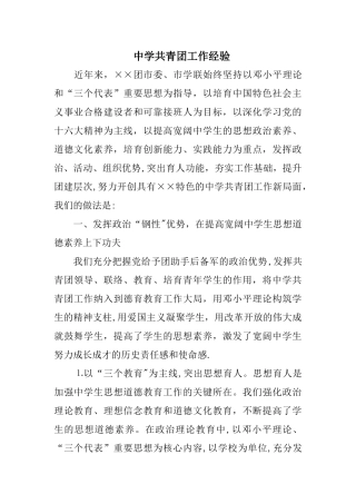 中学共青团工作经验