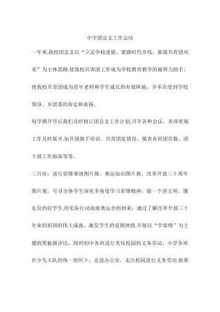 中学团总支工作总结
