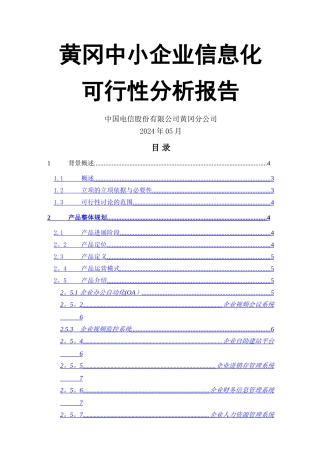 中小企业信息化可行性分析报告DOC