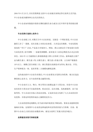 中小企业如何做强-专业优势打造核心竞争力