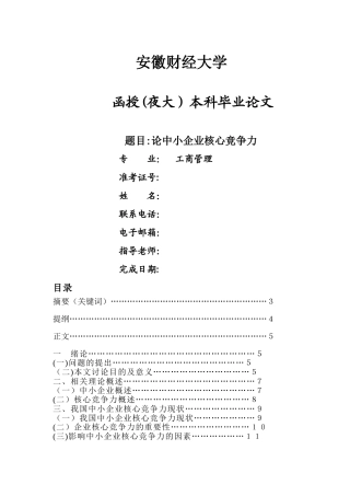 中小企业核心竞争力-文档