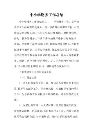 中小学财务工作总结