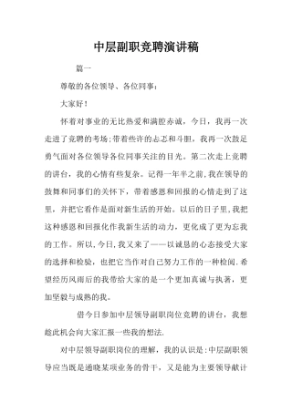 中层副职竞聘演讲稿
