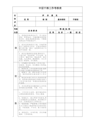 中层干部工作考核表