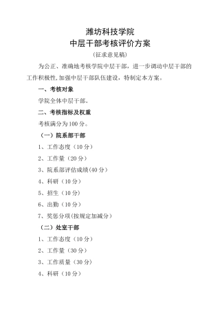 中层干部考核方案