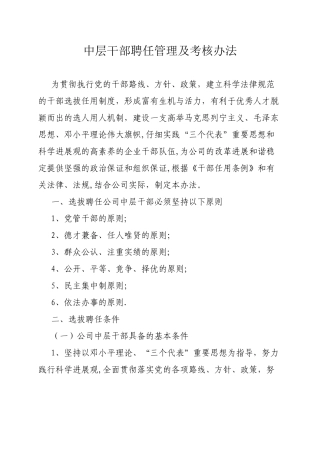 中层干部聘任管理及考核办法.精讲