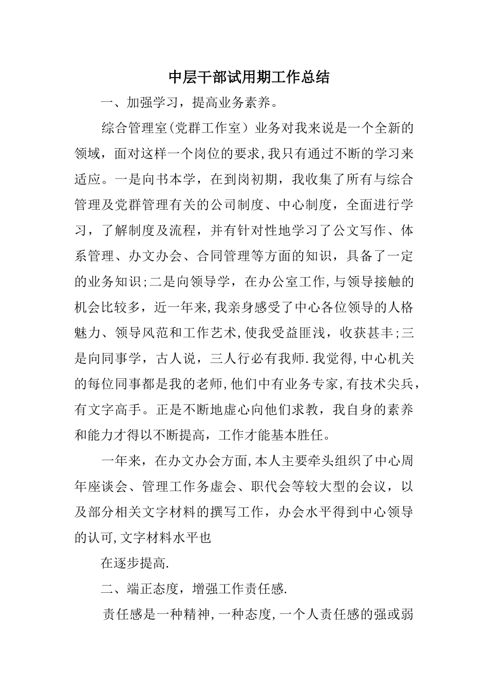 中层干部试用期工作总结_第1页