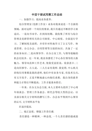 中层干部试用期工作总结