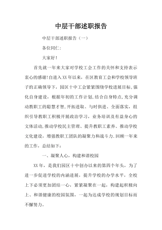 中层干部述职报告