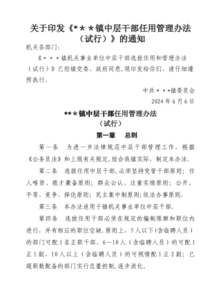 中层干部选拔任用和管理办法