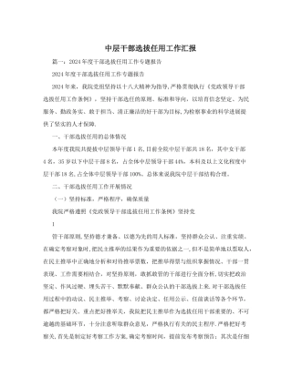 中层干部选拔任用工作汇报
