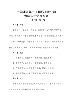 中建二局青年人才培养方案