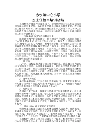 中心小学班主任校本培训总结