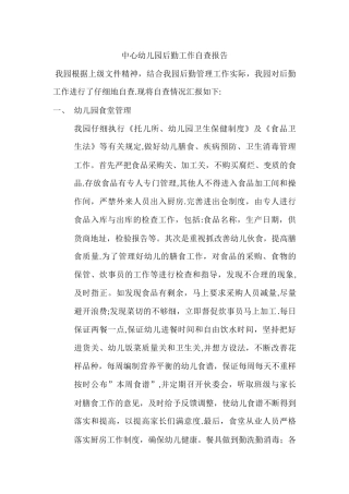 中心幼儿园后勤工作自查报告