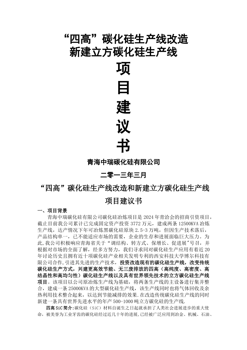 中瑞四高SIC和立方SIC项目建议书_第1页