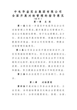 中电华益对标管理办法
