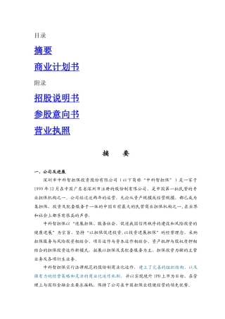 中科智担保投资有限公司商业计划书
