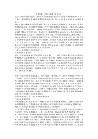 中粮控股审计信息化案例