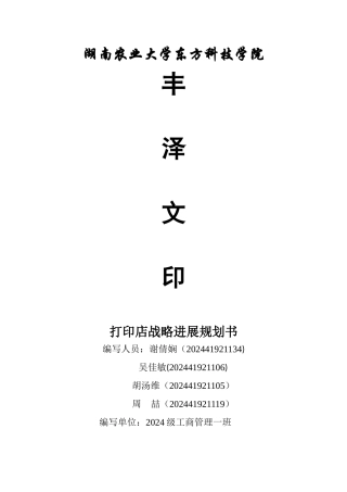 丰泽文印战略规划书