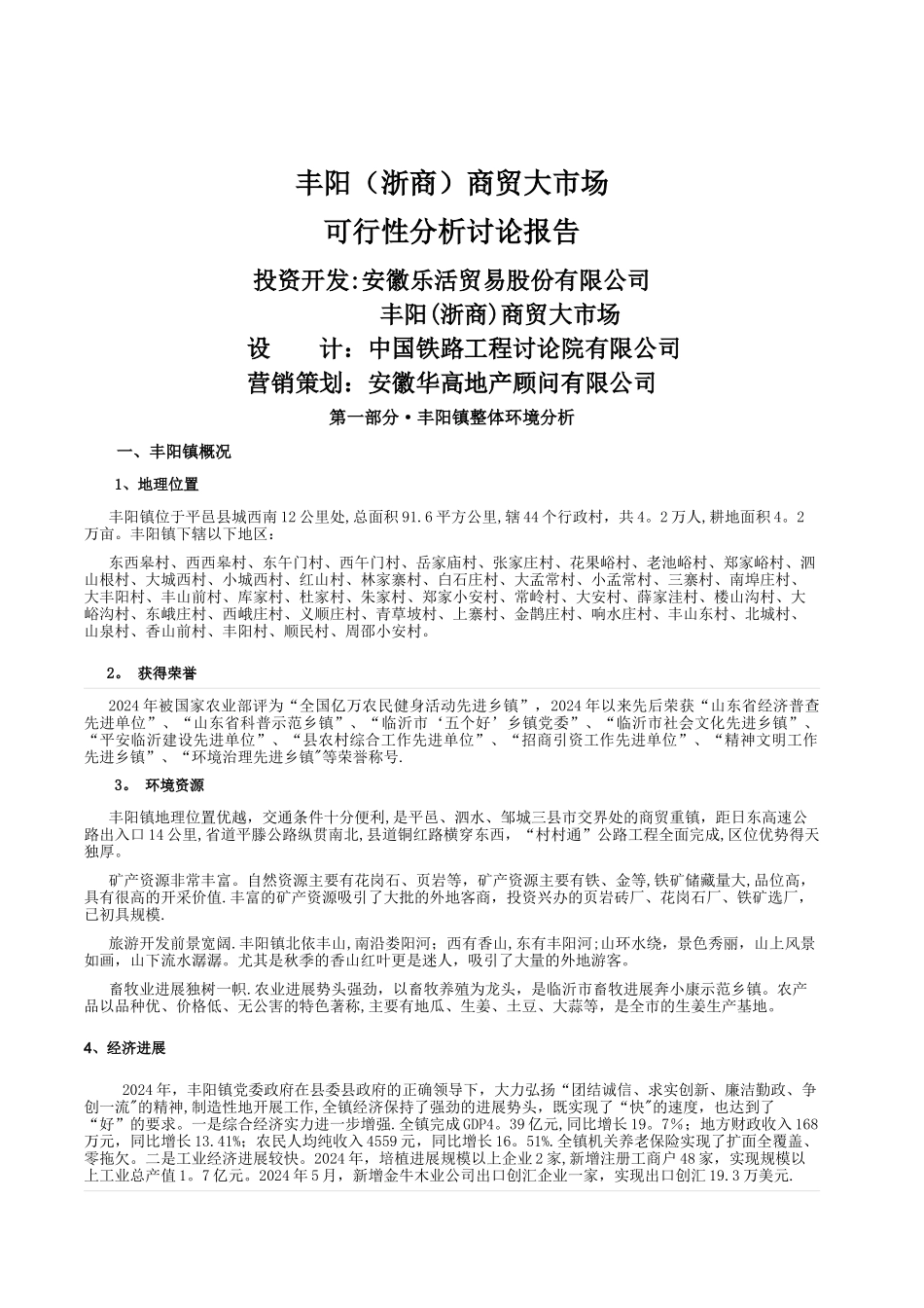 丰阳商贸大市场可行性分析报告_第1页