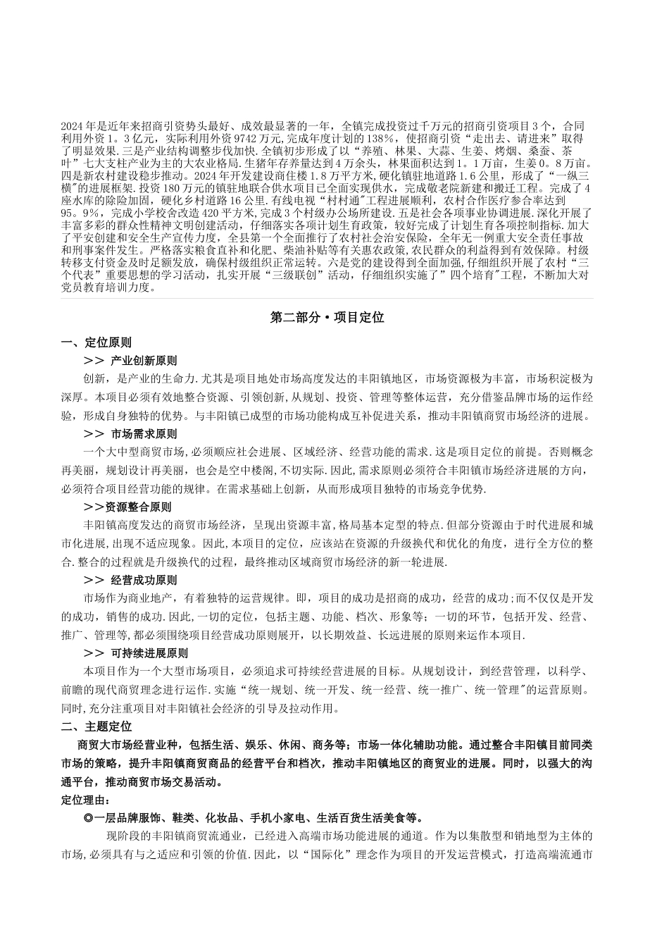 丰阳商贸大市场可行性分析报告_第2页