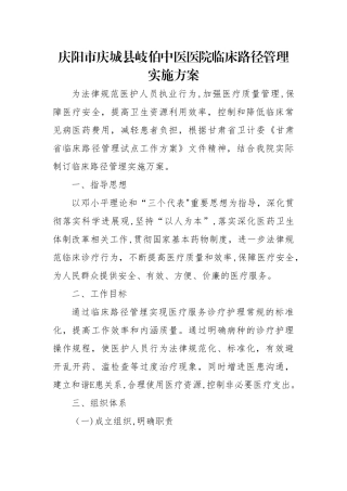 临床路径实施方案
