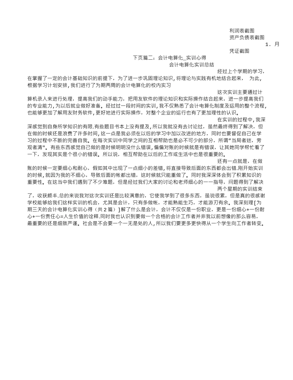 为期三天的会计电算化实训心得_第2页