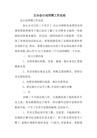 主办会计试用期工作总结