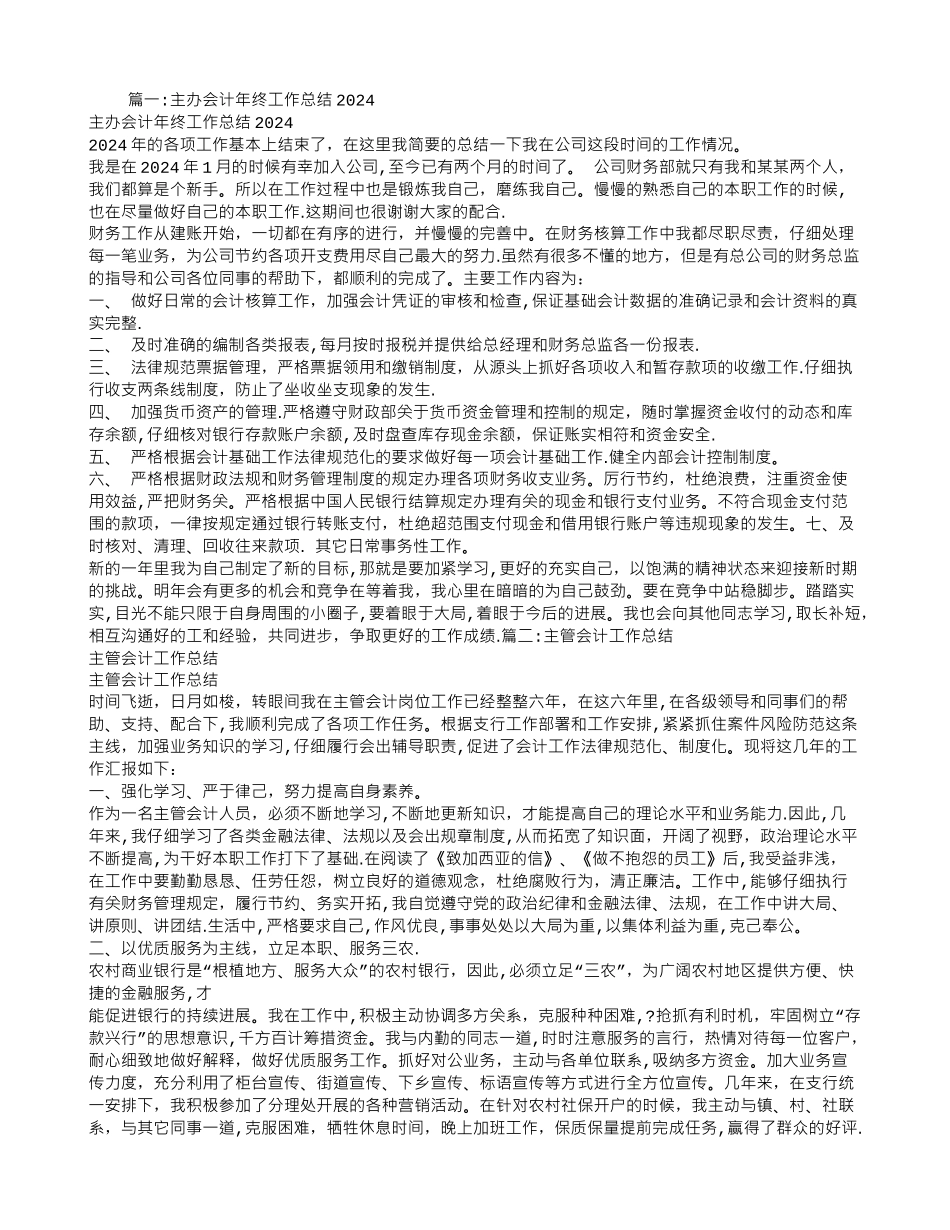 主办会计工作总结_第1页