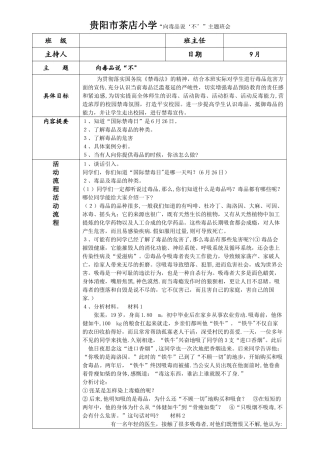 主题班会——向毒品说“不”教案