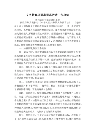 义务教育巩固率提高活动工作总结