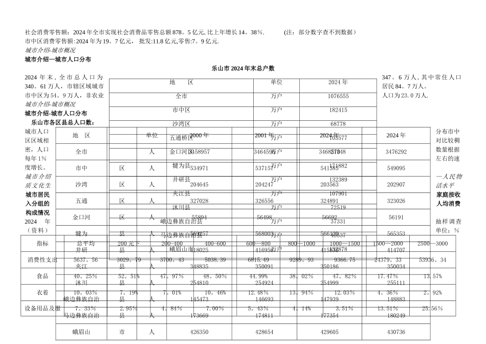 乐山市市场调查报告_第3页