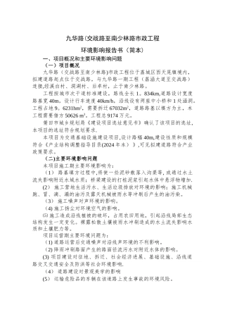 九华路(交战路至南少林路市政工程