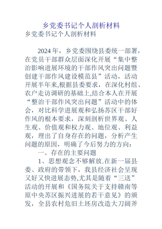 乡党委书记个人剖析材料