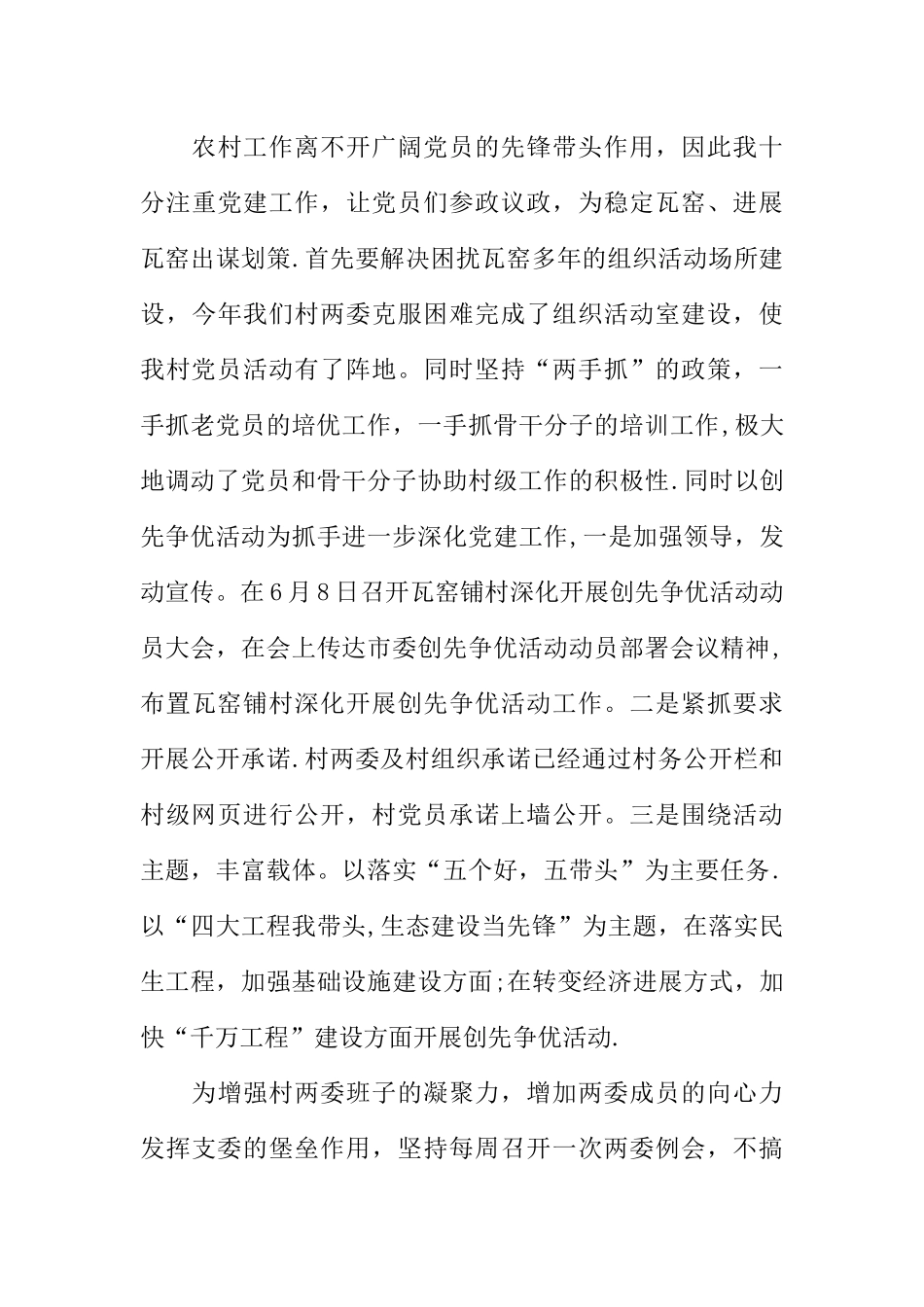 乡下派村第一书记工作总结_第3页