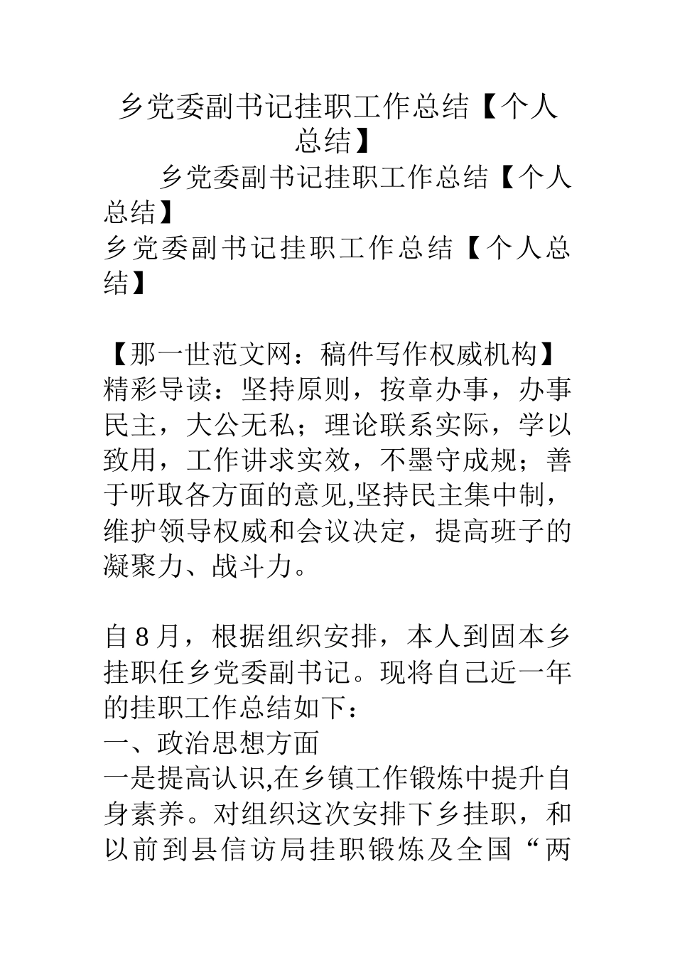 乡党委副书记挂职工作总结_第1页