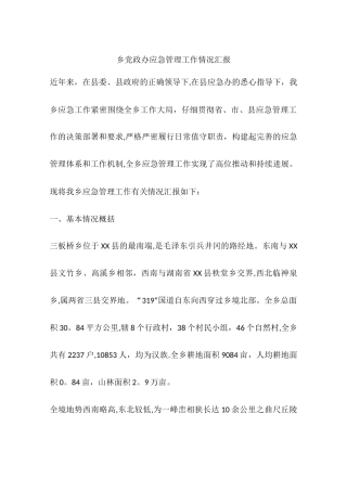 乡党政办应急管理工作情况汇报