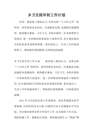 乡卫生院年初工作计划