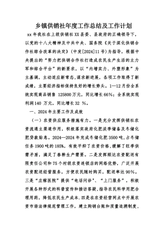 乡镇供销社年度工作总结及工作计划